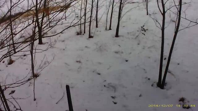 (18+) ОХОТА НА ЗАЙЦА 2014 смотреть онлайн