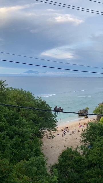 Обезьяны на проводах на фоне океана и вулкана на Бали #shorts #бали #bali #monkey #baliview #ocean смотреть онлайн