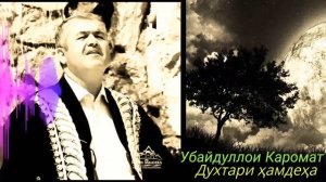 Убайдуллои Каромат - Духтари ҳамдеҳа