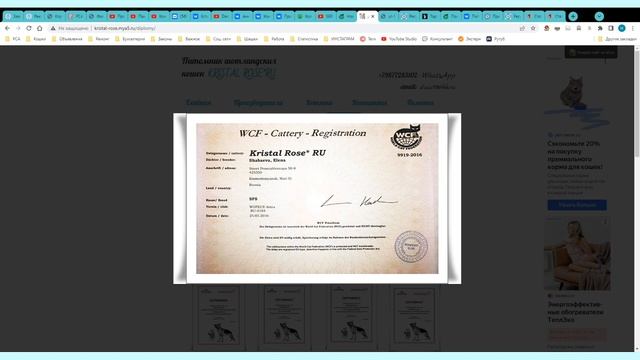 Вредоносная деятельность заводчиков WCF в РФ. смотреть онлайн
