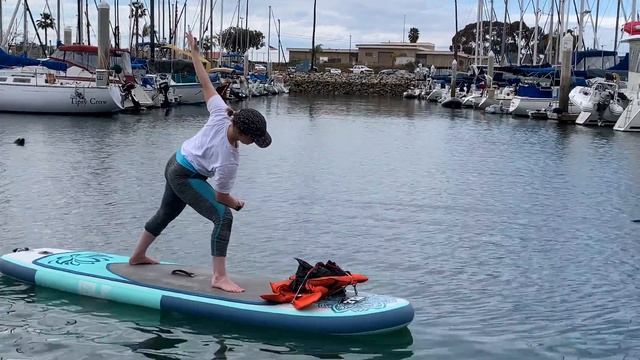 Paddle Board Yoga Sea Lion! @OceansideHarbor смотреть онлайн