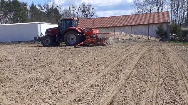 CASEI PUMA 160 W POLU!!!!! Akcja siewy kukurydzy. смотреть онлайн