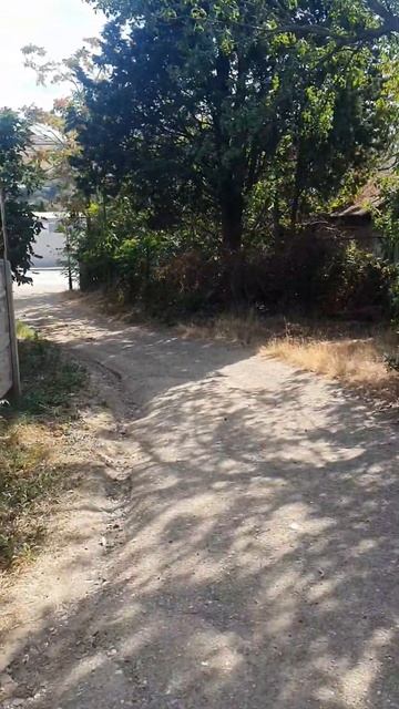 Отдых в Крыму. Морское #тверь #путешествиевкрым #мореотдых #судак #закваска #sourdough #short #хлеб смотреть онлайн