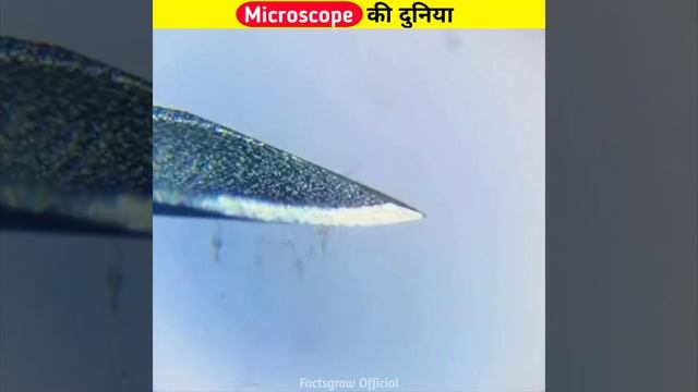 Microscopic दुनिया देखने के लिए Ready हो जाओ 😳 PT-2 #shorts смотреть онлайн