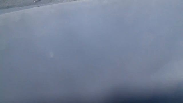 Перевозка Бука смотреть онлайн
