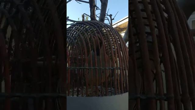 Кеклик Себзор смотреть онлайн