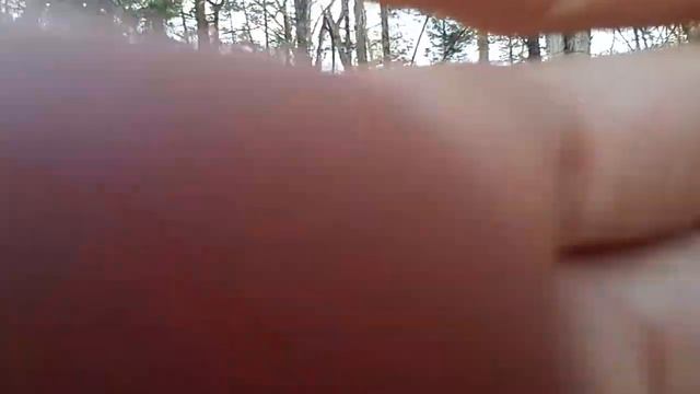 ASMR | Front-Facing Camera w/ Experimental Triggers смотреть онлайн