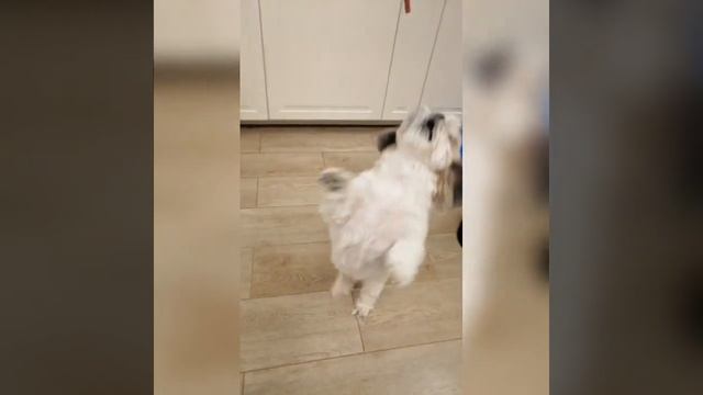 Веселые будни!!!) смотреть онлайн