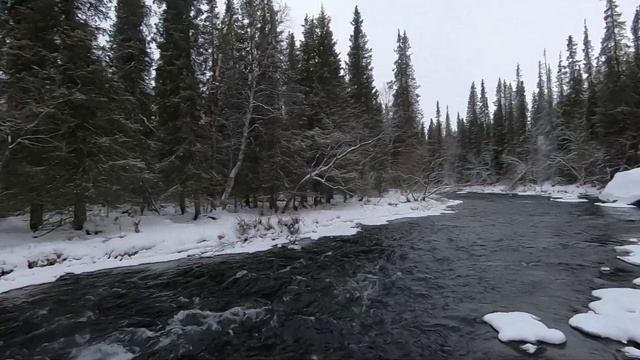 природа Сейдозера смотреть онлайн
