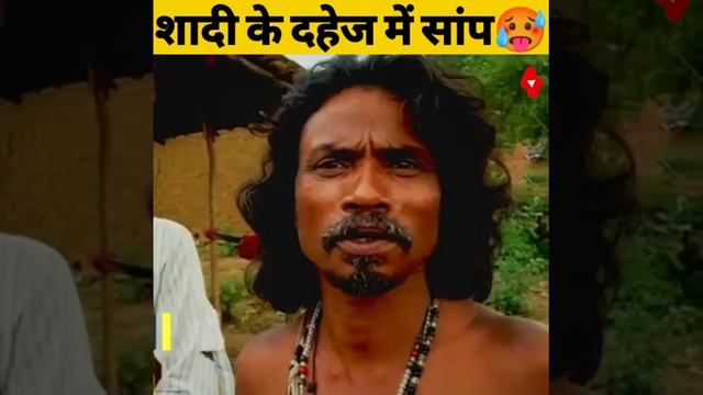 शादी में देना पड़ता है दहेज के रूप में सांप को😱 #motivation #short video #facts (Bhavmanoj) смотреть онлайн