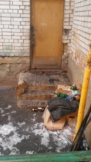 Кот и крыса смотреть онлайн