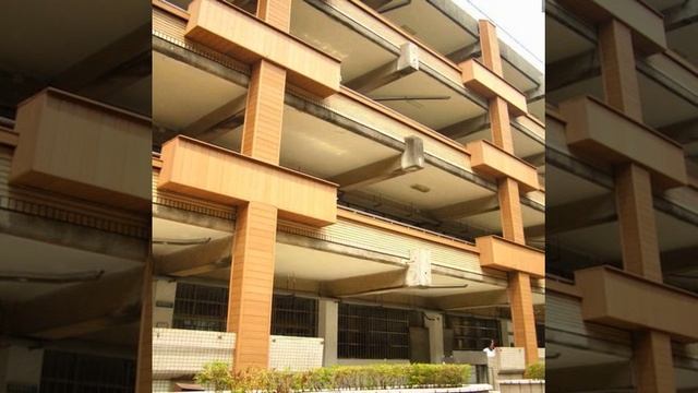 The cost of the Cayman Islands labour force to install wood floors смотреть онлайн