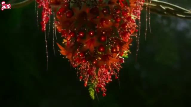 Best WhatsApp 30 Seconds Status Video Beautiful Heart touching Bamboo Flute Tone Amazing Bird смотреть онлайн