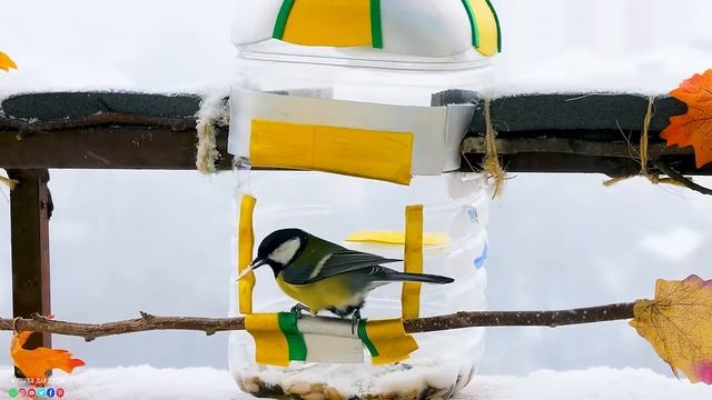 Эту музыку можно слушать вечно! Самая красивая мелодия на свете! Музыка для души смотреть онлайн