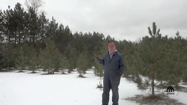 OMSPA Sugar Bush Management Final смотреть онлайн