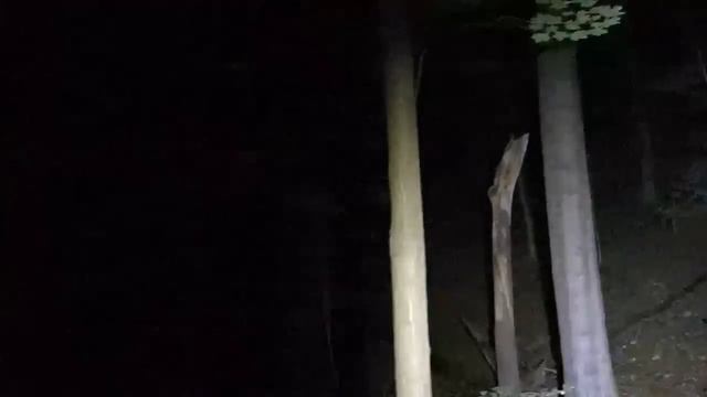 Ashtabula Ohio - The hunt for GrassMan смотреть онлайн