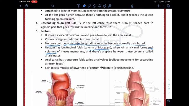 Anatomy - GIS (P2) смотреть онлайн