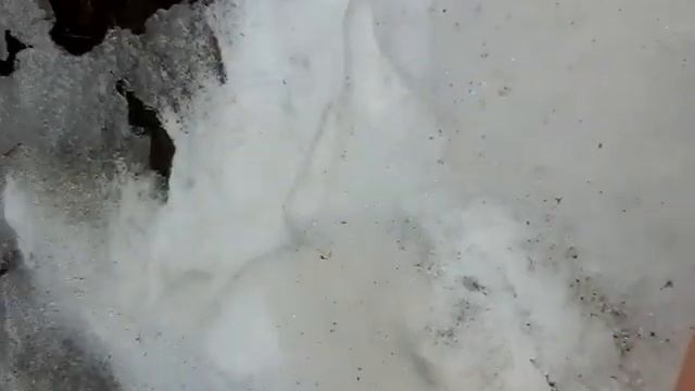 Прогулка с мини реборном Алисой и с моей собакой Дусей!!!Показываю новых миников или пупсов!! смотреть онлайн