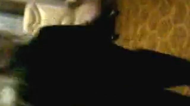 та ти ра ти та та смотреть онлайн