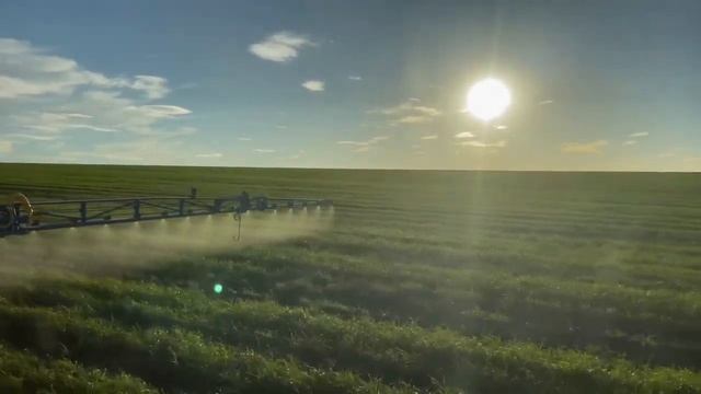 Озимая пшеничка смотреть онлайн