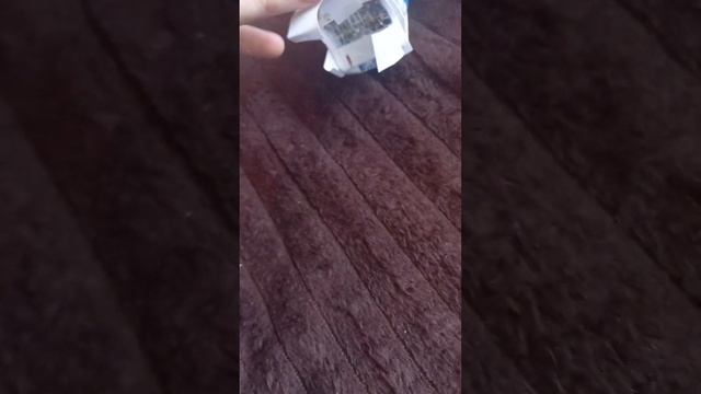 зиу9,(кошка!),здорово смотреть онлайн
