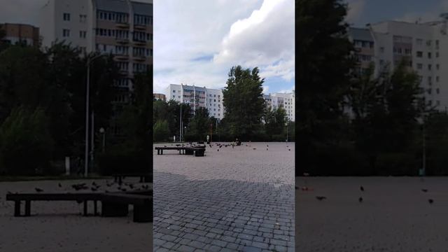 Казань голуби наши смотреть онлайн