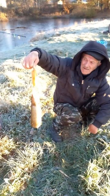 золотая рыбка🤗🎏 смотреть онлайн