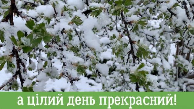 Доброго ранку та гарного дня! Бажаю мирного неба! Побажання вдалого та позитивного дня смотреть онлайн