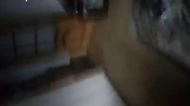 пойманная чайка смотреть онлайн