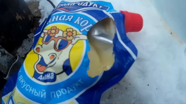 Донская мгла. Зарисовки. Частное мнение о мелких диких грызунах смотреть онлайн