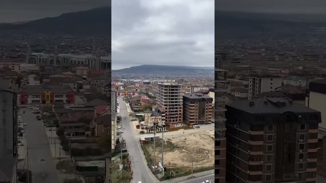 15 февраля 2024 г. смотреть онлайн