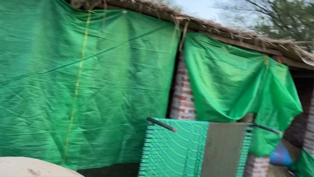 Maine Cats k liye Cat House Bana liya😱 смотреть онлайн