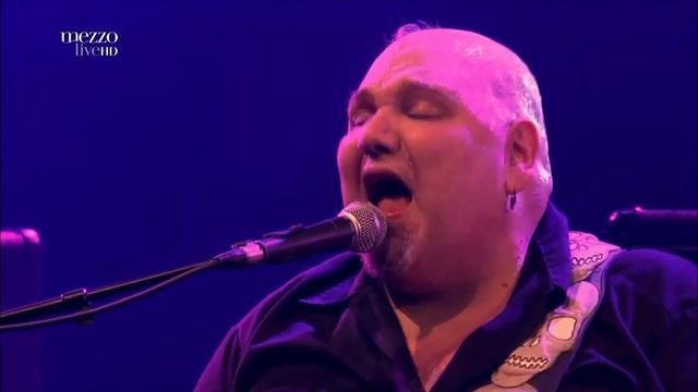 Popa Chubby - Festival Nancy Jazz Pulsations смотреть онлайн