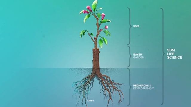 SBM Life Science, Une greffe reussie смотреть онлайн