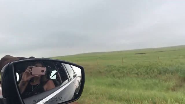 GPS Cow смотреть онлайн