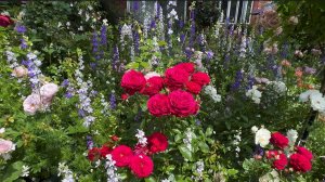 САДЫ ЯПОНИИ Частная резиденция Главного садовника с Прекрасными Розовыми Садами 2024