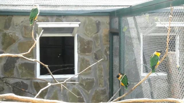 2012-08-19 - Экзотик парк - SAM 1866st смотреть онлайн