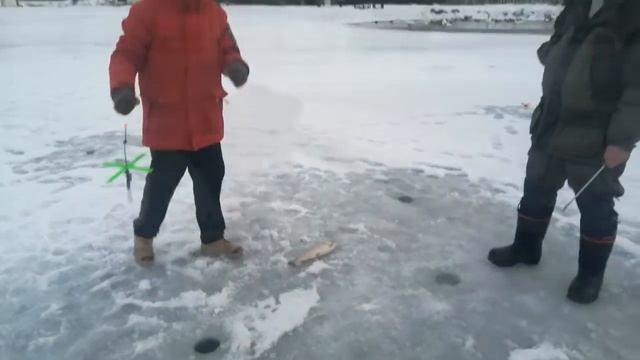 Рыбин Гуд Ильинское. Форель продолжает клевать смотреть онлайн