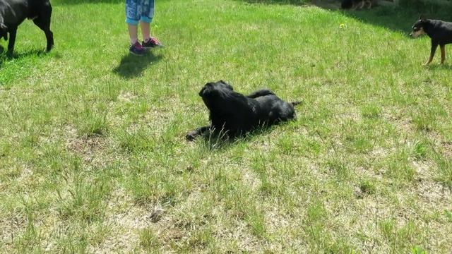 MVI 0399 смотреть онлайн