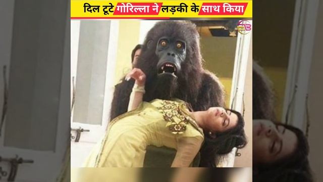 दिल टूटे गोरिल्ला ने लड़की के साथ किया। #shorts #trending смотреть онлайн