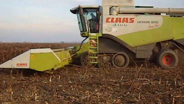 Claas Lexion 570-440 napraforgó aratás 2010 смотреть онлайн