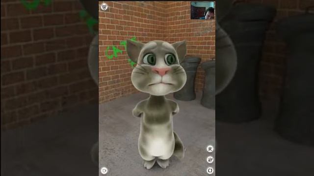 Говорящий   кот  Том  часть 1