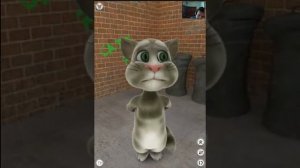 Говорящий   кот  Том  часть 1