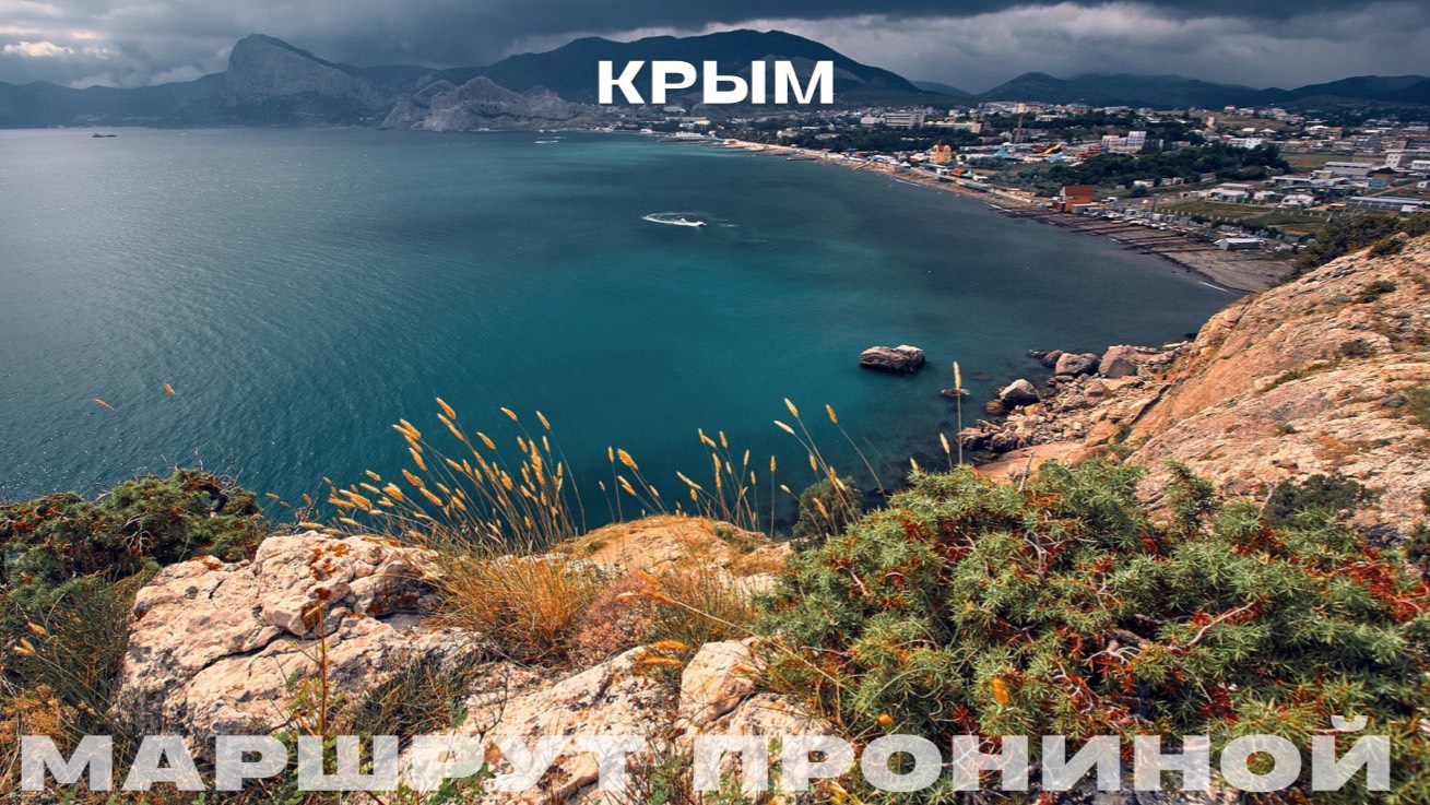 Крым. Ослы // Маршрут Прониной