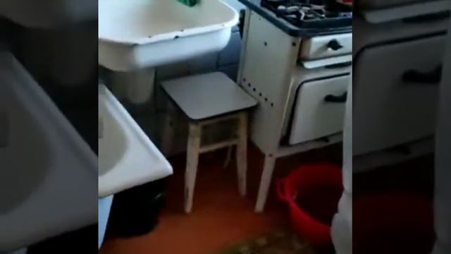 Уничтожения тараканов Бишкек звоните 0501-15-03-90 0776-15-03-90 0556-15-03-90 качества 100% смотреть онлайн