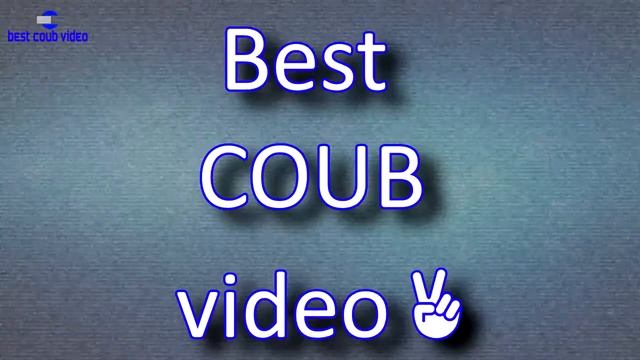Best COUB. COUB Compilation #31