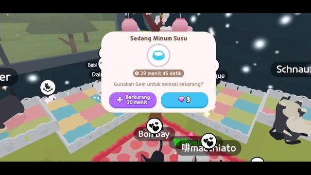 Hewan Kok Skeptis! Evolusi Pet PLAY TOGETHER смотреть онлайн