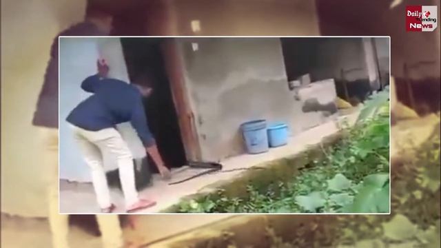 सांप पकड़ने की कोशिश में पकड़ लिया King Cobra, देखें Video смотреть онлайн