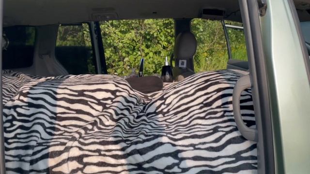 Toyota Sienna Camper Van Conversion- No prior experience, entry level! смотреть онлайн