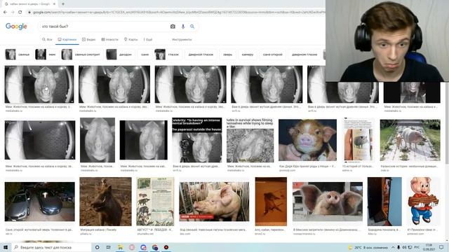 бык кто такой бык? смотреть онлайн